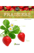 Fraisiers