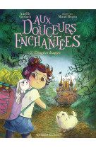 Aux douceurs enchantees t02 - donjons et dragees dragons