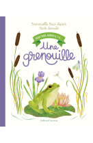 Dans mon jardin il y a une grenouille