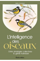 L-intelligence des oiseaux