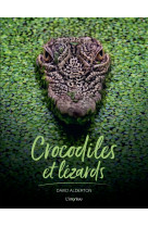 Crocodiles et lezards