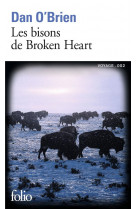 Les bisons de broken heart
