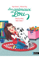 Animaux de lou : d-ou tu viens, petit chien ?