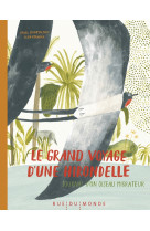 Le grand voyage d'une hirondelle - journal d'un oiseau migra