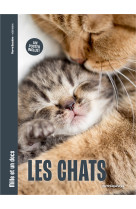 Les chats - mille et un docs - inclus : un poster recto verso !