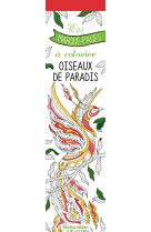 Mes marque-pages à colorier : oiseaux de paradis