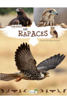 Les rapaces