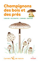 Champignons des bois et des prés