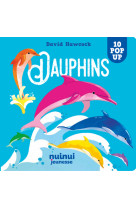 10 pop ups - dauphins