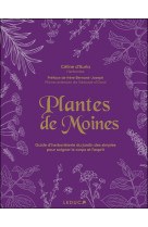 Plantes de moines