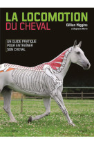 La locomotion du cheval