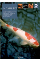 Carpe koi