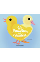 Un poussin, un caneton