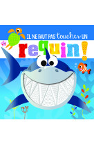 Un requin !