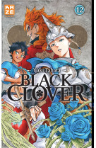 Black clover t12