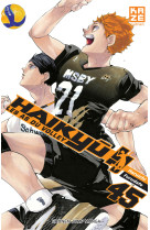 Haikyu t45 (fin)