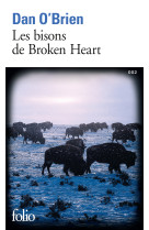 Les bisons de broken heart