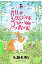 Une lapine nommée praline