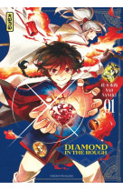 Diamond in the rough - tome 1