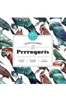 Les petits carrés d'art-thérapie perroquets