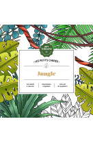 Les petits carrés d'art-thérapie jungle