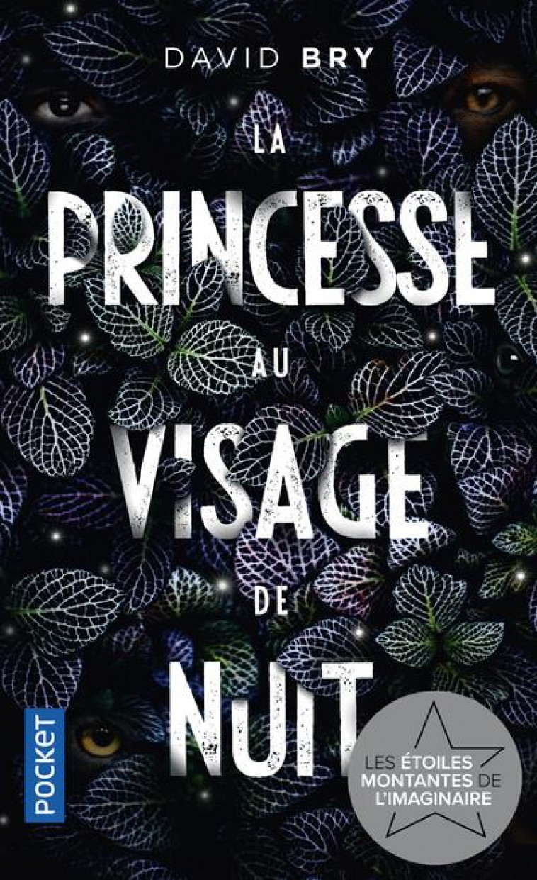 LA PRINCESSE AU VISAGE DE NUIT - BRY DAVID - POCKET