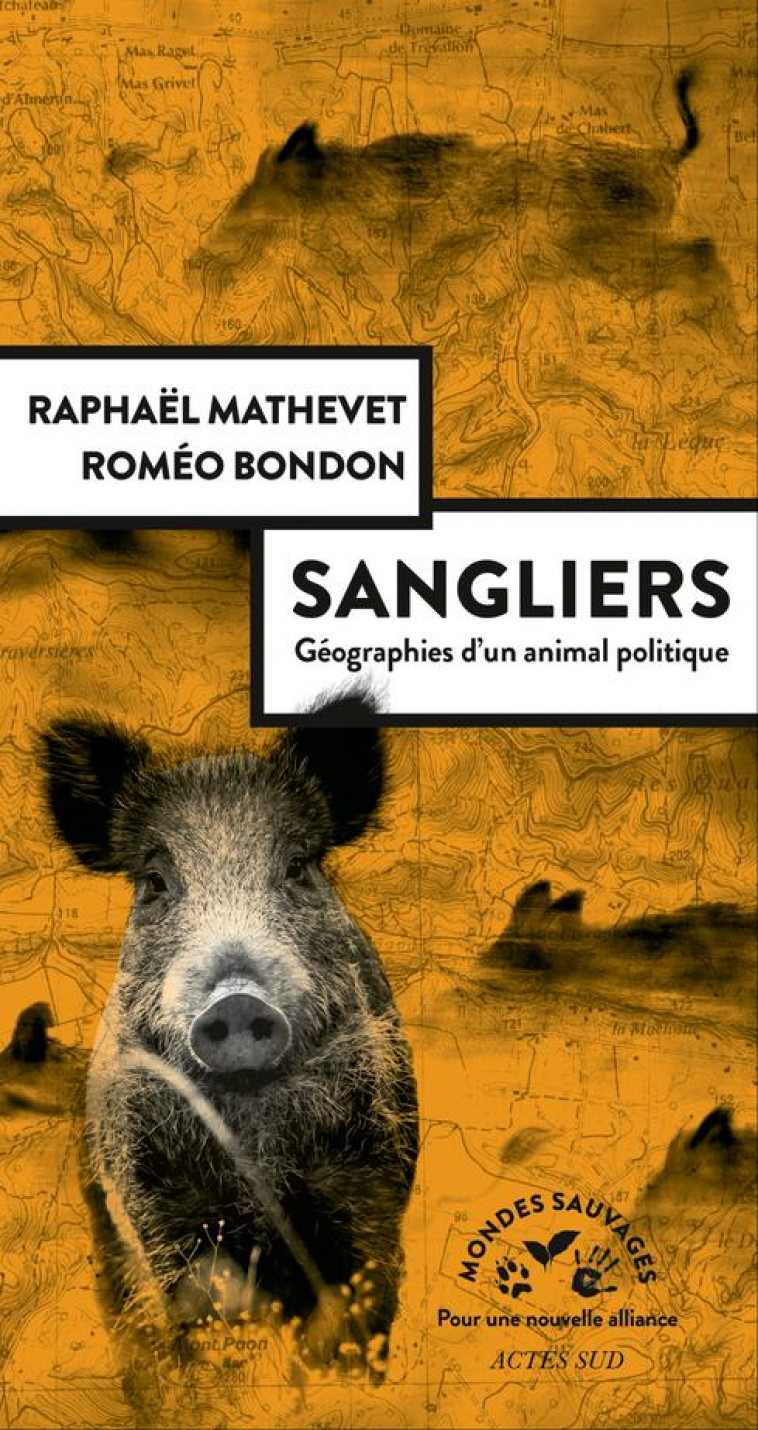 SANGLIERS, GEOGRAPHIES D'UN ANIMAL POLITIQUE - MATHEVET/BONDON - ACTES SUD