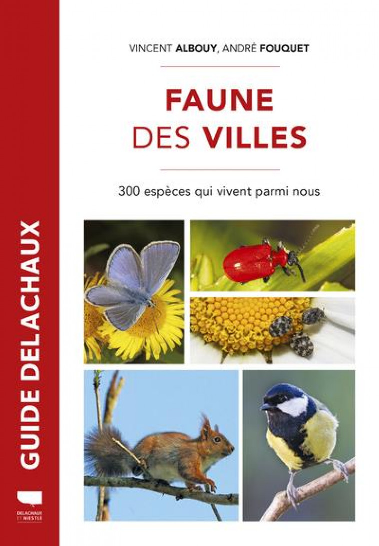 FAUNE DES VILLES - 300 ESPECES QUI VIVENT PARMI NOUS - ALBOUY/FOUQUET - DELACHAUX