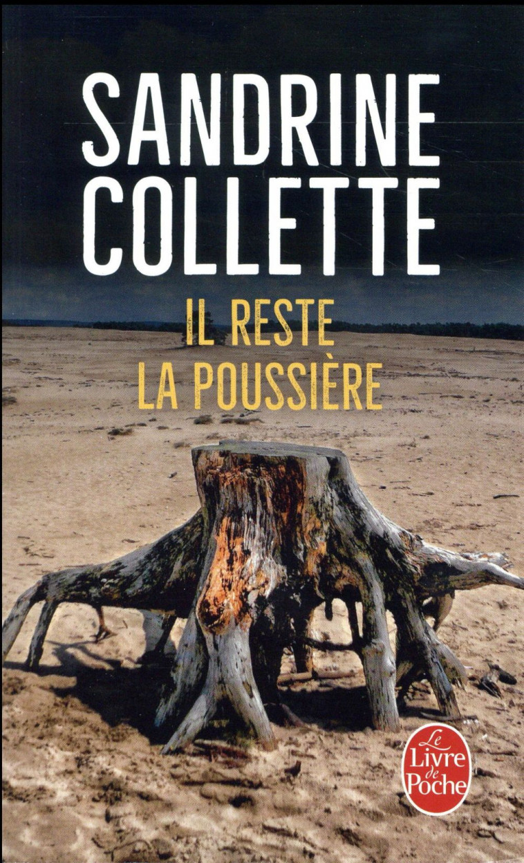IL RESTE LA POUSSIERE - COLLETTE SANDRINE - Le Livre de poche