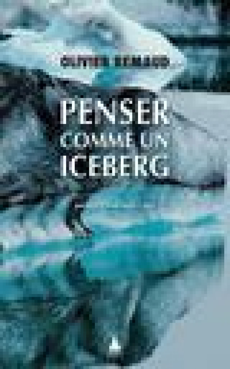 PENSER COMME UN ICEBERG - REMAUD/GARAT - ACTES SUD