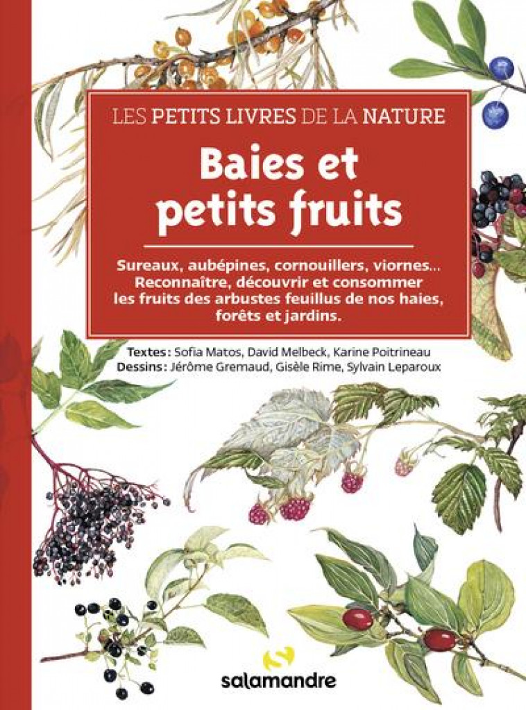 LES PETITS LIVRES DE LA NATURE - BAIES ET PETITS FRUITS - MATOS/MELBECK/RIME - LA SALAMANDRE