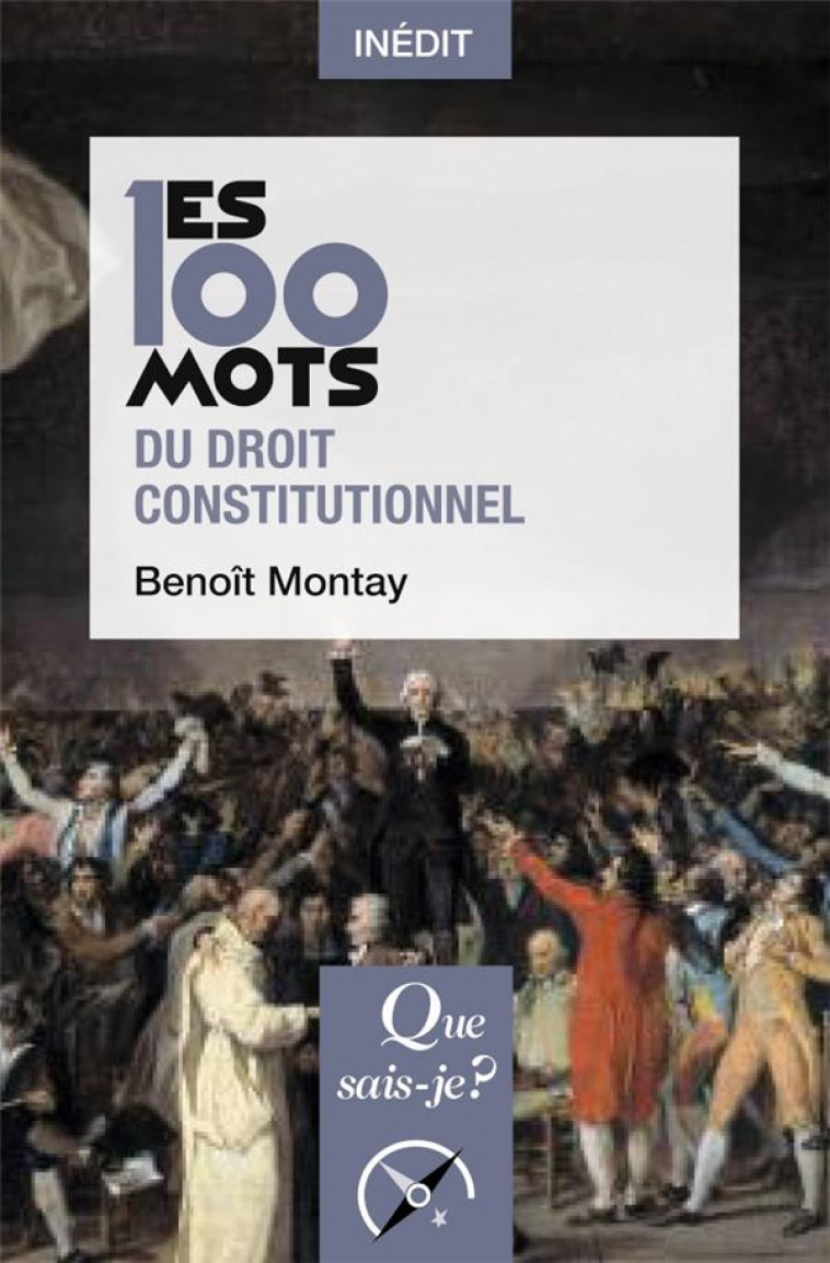 LES 100 MOTS DU DROIT CONSTITUTIONNEL - MONTAY BENOIT - PUF