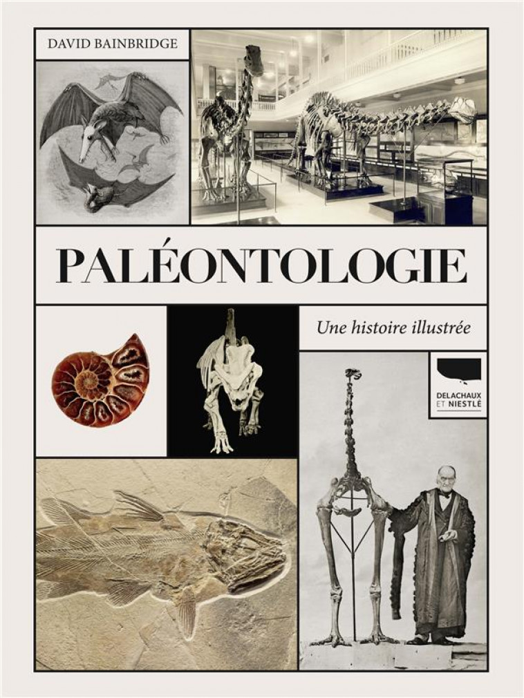 PALEONTOLOGIE. UNE HISTOIRE ILLUSTREE - BAINBRIDGE DAVID - DELACHAUX