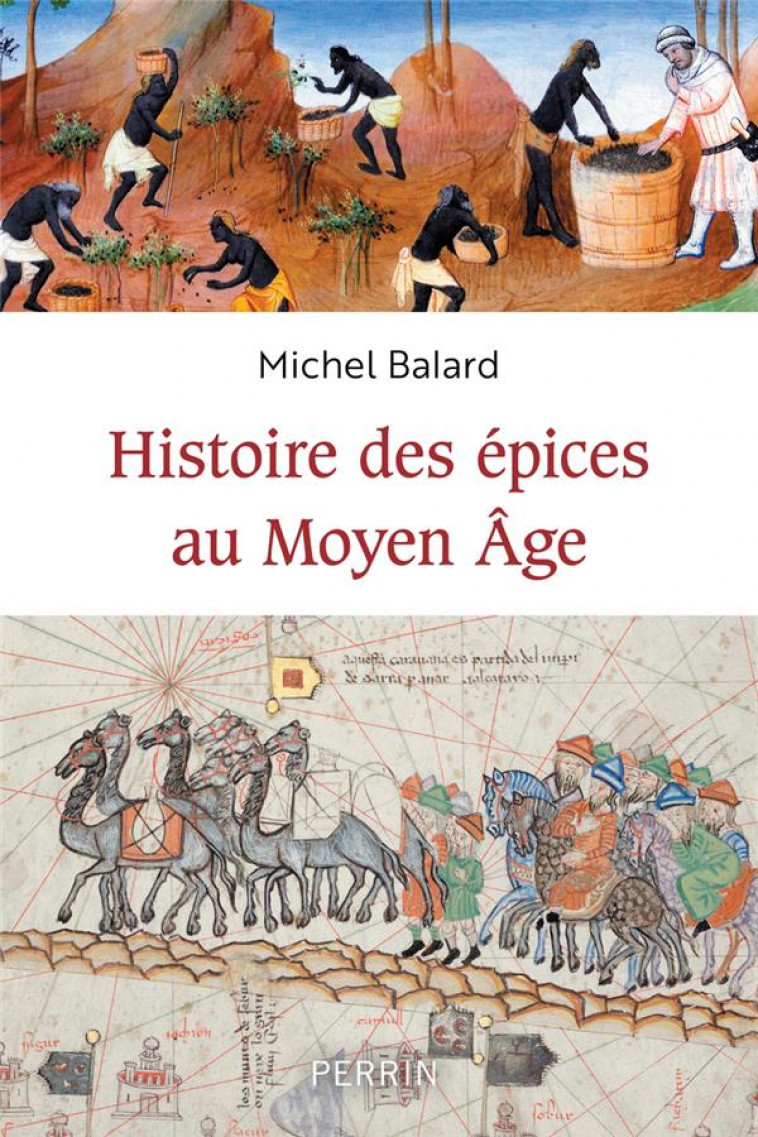 HISTOIRE DES EPICES AU MOYEN-AGE - BALARD MICHEL - PERRIN