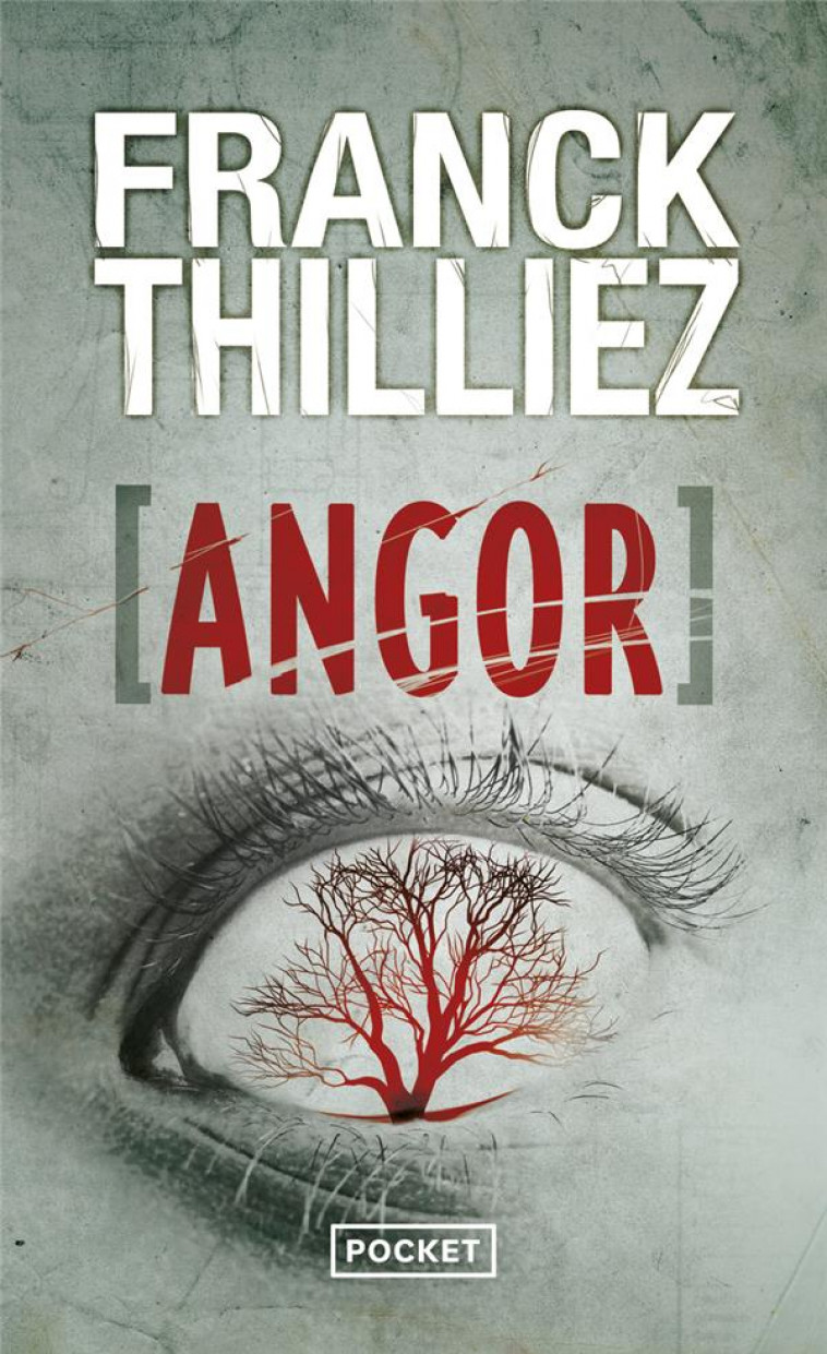 ANGOR - THILLIEZ FRANCK - Pocket