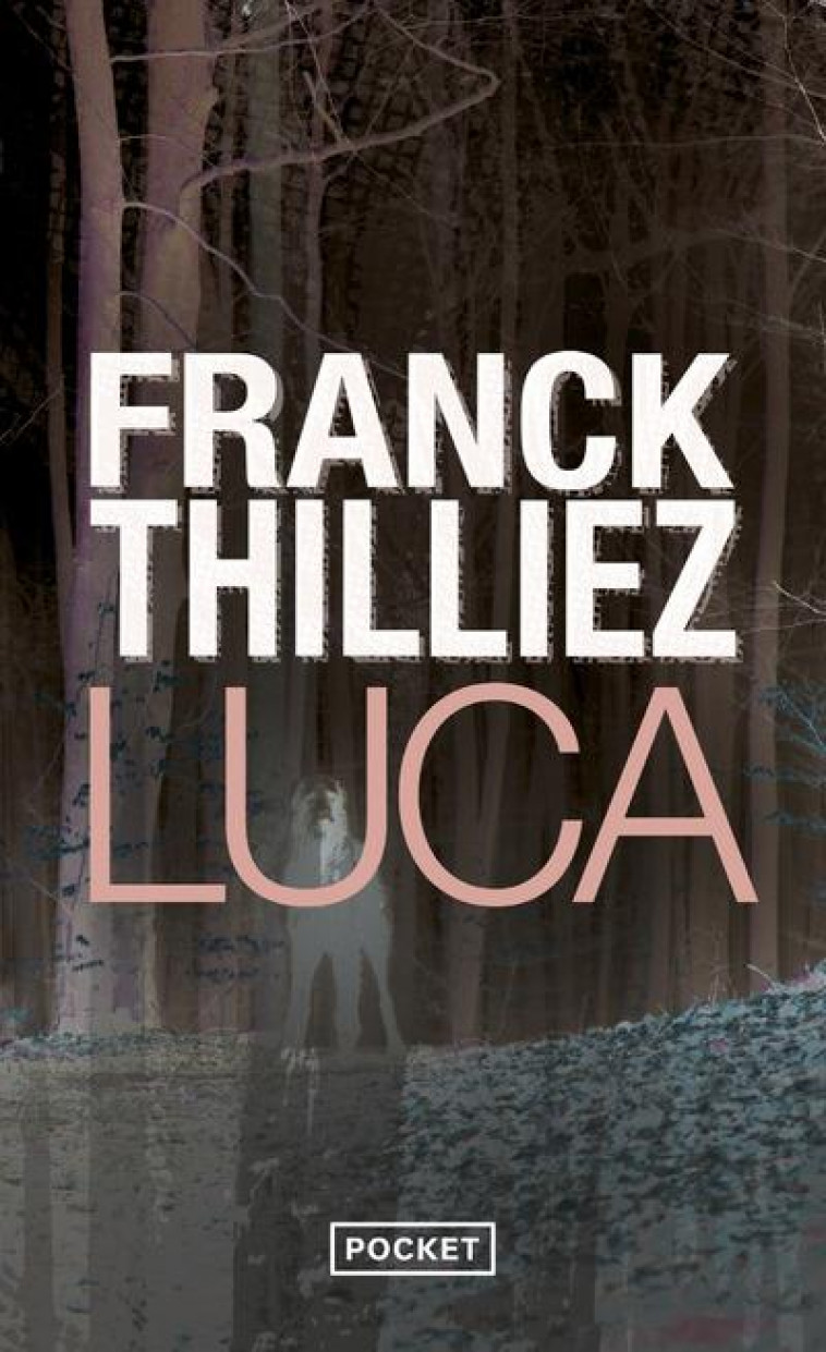 LUCA - THILLIEZ FRANCK - POCKET