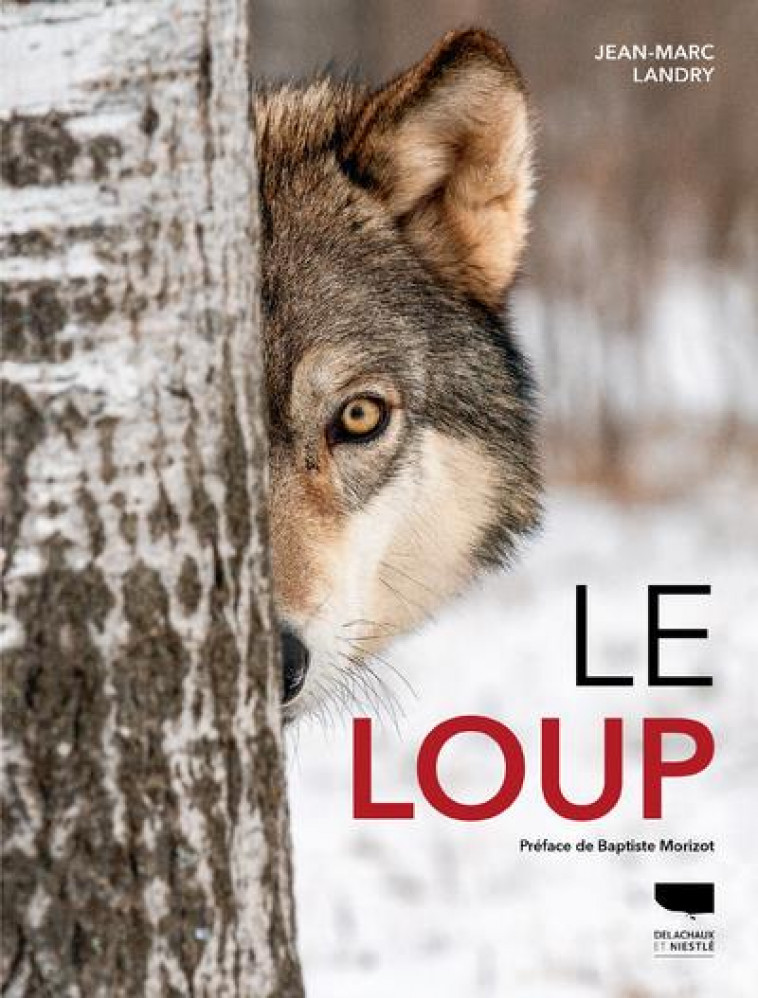 LE LOUP - LANDRY JEAN-MARC - Delachaux et Niestlé