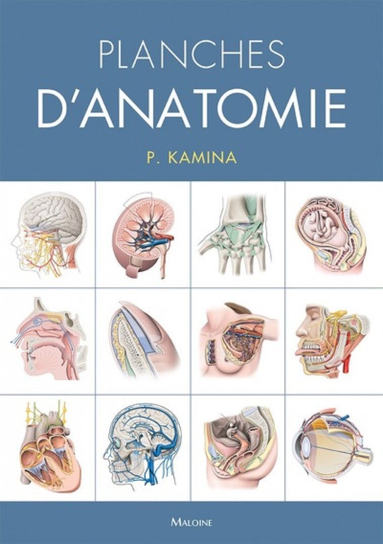 PLANCHES D-ANATOMIE - 31 PLANCHES. RELIURE A SPIRALE - 3E EDITION - KAMINA PIERRE - MALOINE