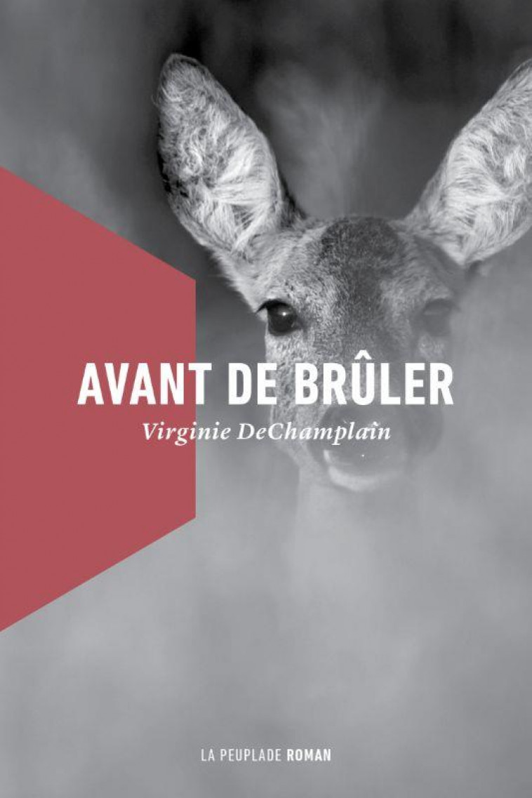 AVANT DE BRULER - DECHAMPLAIN VIRGINIE - LA PEUPLADE