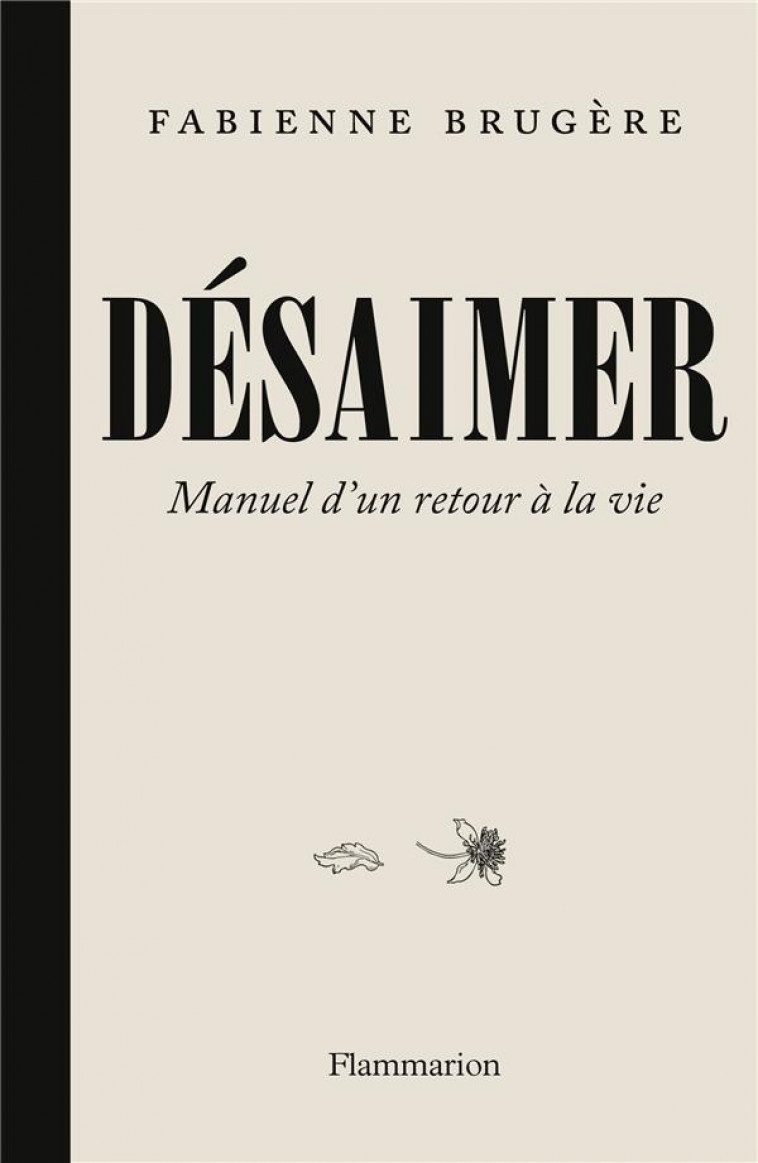 DESAIMER - MANUEL D-UN RETOUR A LA VIE - BRUGERE FABIENNE - FLAMMARION