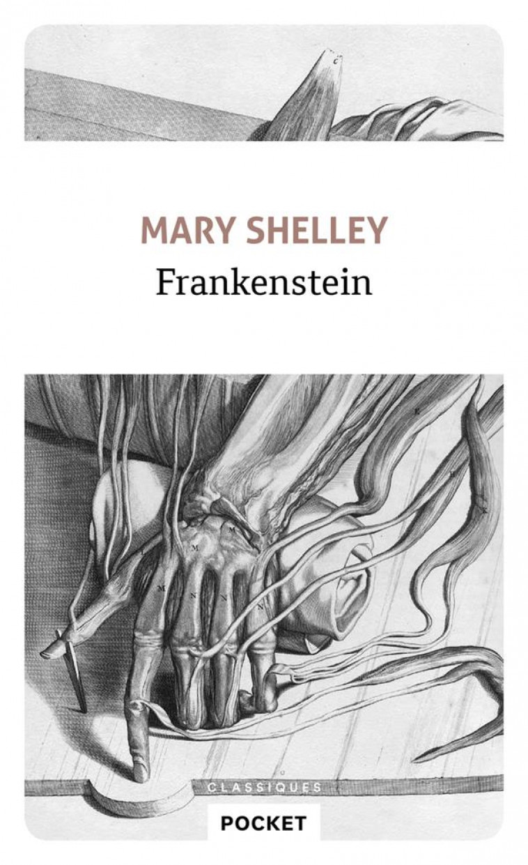 FRANKENSTEIN - SHELLEY MARY - POCKET